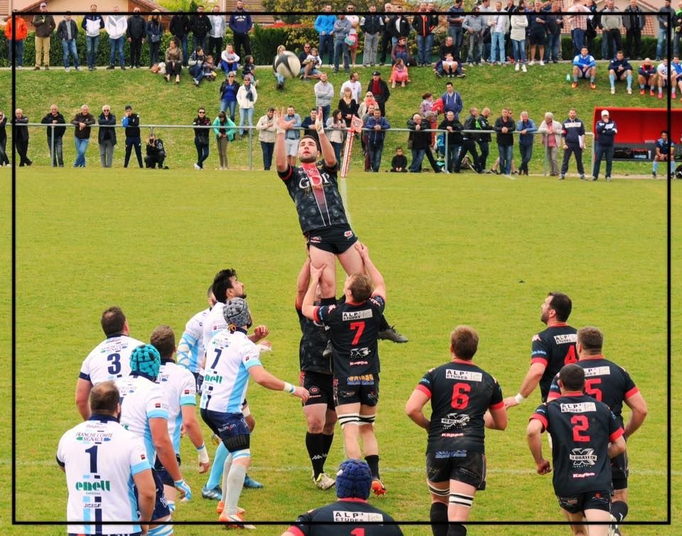 18157912_1944239935821680_4452808193197413460_n