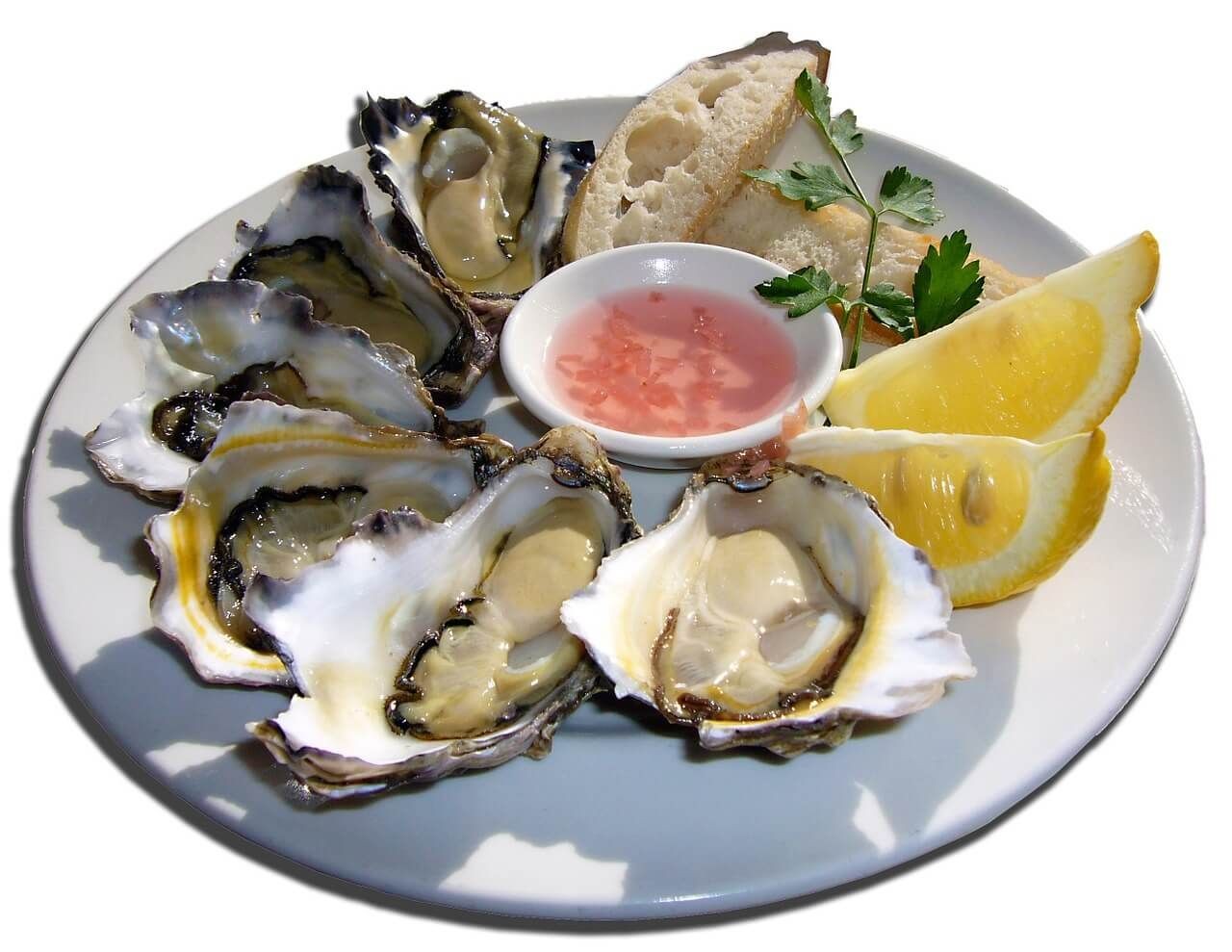 oysters-681034_12801